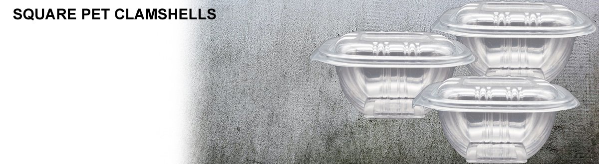 Square PET Clamshells Square PET Clamshells